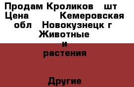 Продам Кроликов 4 шт › Цена ­ 500 - Кемеровская обл., Новокузнецк г. Животные и растения » Другие животные   . Кемеровская обл.